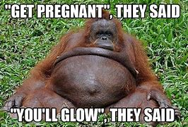 Image result for Pregnant Meme Humor