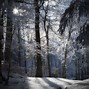 Image result for Snow Field Night