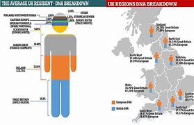 Image result for English Genes