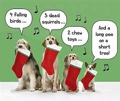 Image result for Funny Christmas Dog Sayings