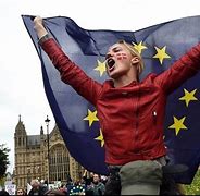 Image result for Steampunk Brexit Protest