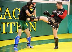 Image result for Kickboxing Styles