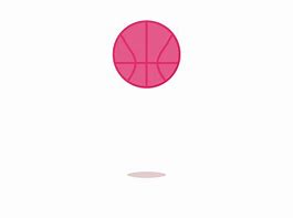 Image result for Indoor Basketball Ball