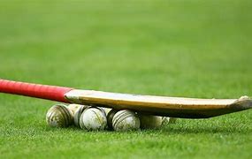 Image result for Cricket Bats and Balls
