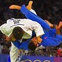 Image result for Best Judo Move