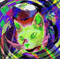 Image result for Star Cat Art