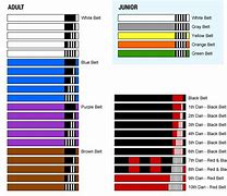 Image result for Belt Colors in Jiu Jitsu