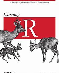 Image result for R Programming Language Books