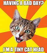 Image result for Why Is It Cat Meme