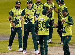 Image result for PCB Cricket