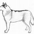 Image result for Dog Drawing Sketch