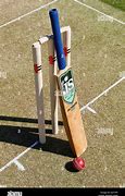 Image result for Cricket Bat Ball Wicket