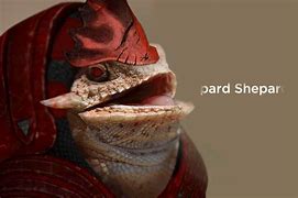 Image result for Heh Lizard Meme