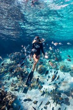 10 atracciones turísticas principales en Honduras - vivel la version in 2023 | Underwater photography, Beautiful places to travel, Travel aesthetic