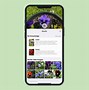 Image result for How to Use New iPhone Photo Features
