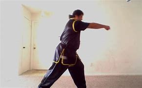 Image result for Tiger Claw Kung Fu Forms