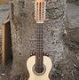 Image result for guitonear