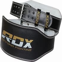 Image result for Dumbbell Weight Belt