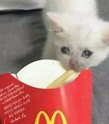 Image result for Crying Cat Meme Generator