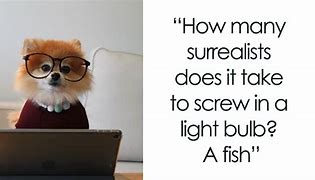 Image result for Funny Smart Cute Wordings