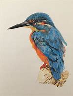 Image result for Colored Pencil Artwork