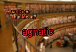 Image result for agnatici0