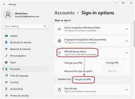 Image result for Forgot Pin Windows 1.0