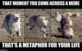 Image result for Metaphor Memes