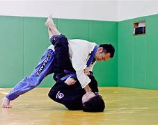 Image result for ZR Brazilian Jiu Jitsu