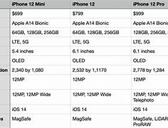 Image result for iPhone 12 vs Mini in Hand
