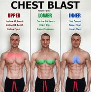Image result for Pectoral Workouts