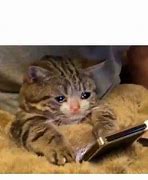 Image result for Crying On Phone Meme