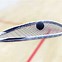 Image result for Squash Racket and Ball