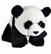 Image result for Albino Panda Plush
