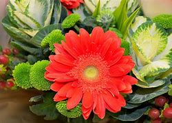Image result for Valats Flowers