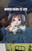 Image result for Gamer Cat Meme
