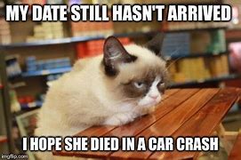 Image result for Grumpy Cat Died Memes