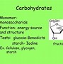 Image result for Homozygous Genotype Example