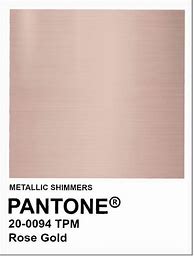 Image result for What Color Is Rose Gold in CMYK