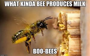 Image result for Smiling Bee Meme