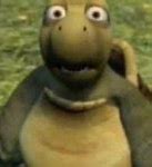 Image result for Shocked Tortois Meme