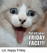 Image result for Happy Friday Cat Même