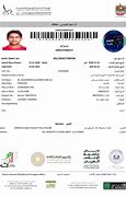 Image result for Dubai Work Visa Agreement