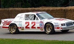 Image result for NASCAR Bobby Allison Buick Regal