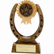 Image result for Racing Horseshoe Trophy