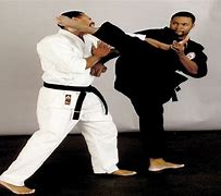 Image result for Black Martial Arts