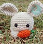 Image result for Crochet Animal Patterns for Beginners