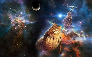 Image result for Galaxy Cat Art Conputer