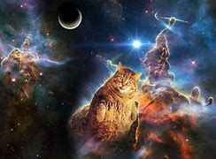 Image result for Galaxy Cat Poster