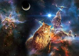 Image result for Free Wallpaper Cat Galaxy